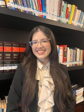 Ivan Xavier Vianna Filho